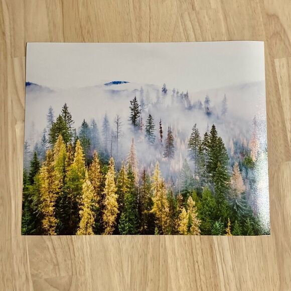Forest Fog Print  - Picture 2 of 2